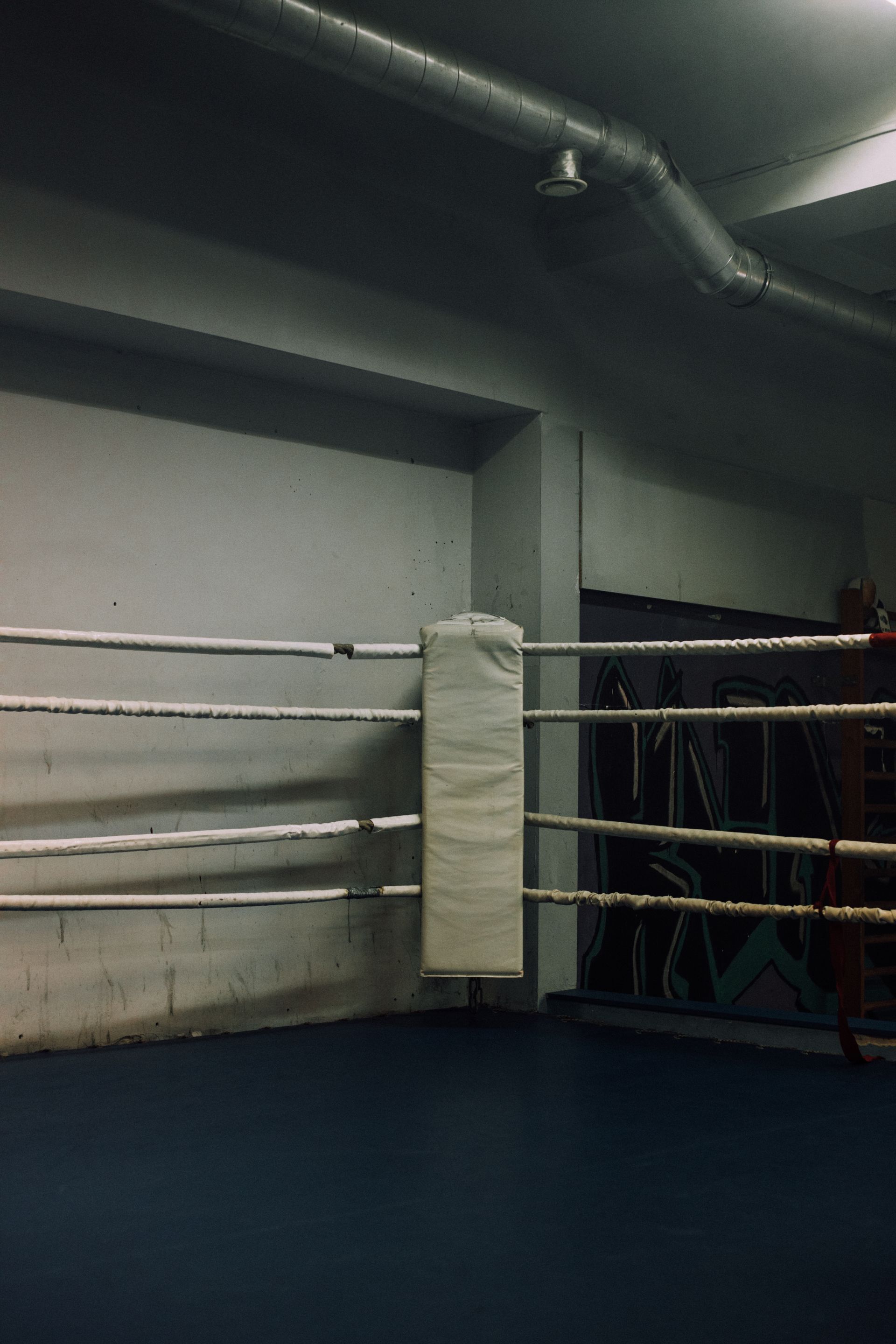 Still from Submitting Tigers